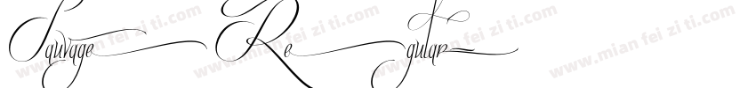 Sauvage Regular字体转换